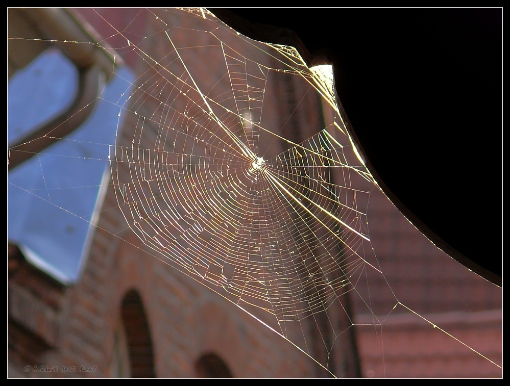 Dreamcatcher im Gegenlicht