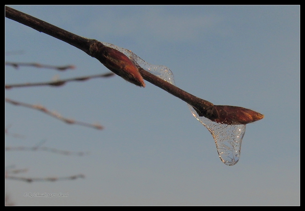 Glas...