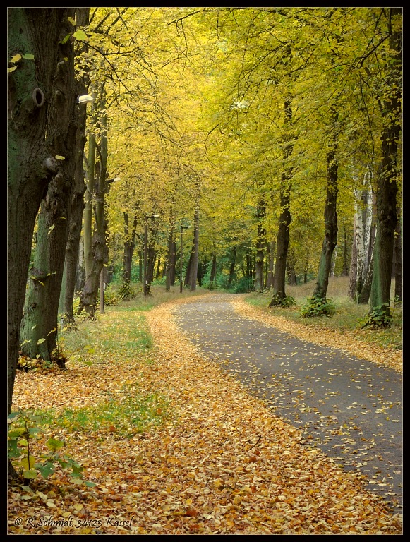 Herbstweg...