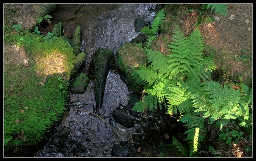 Durchfluss des Lochbachs