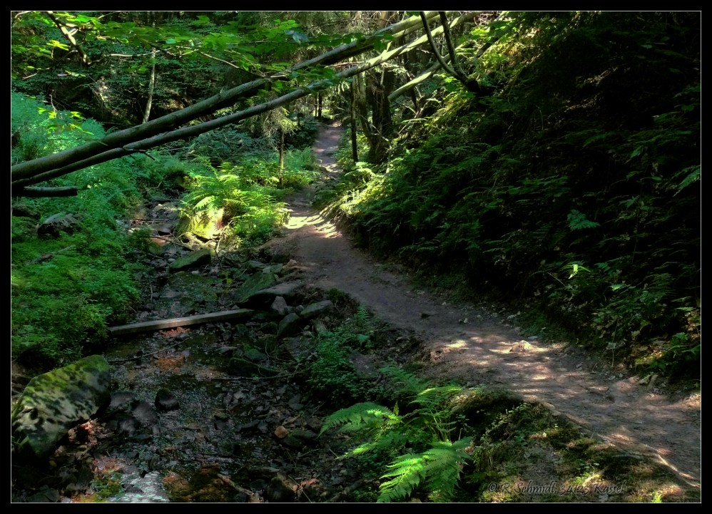 In der finsteren Lochbachklamm