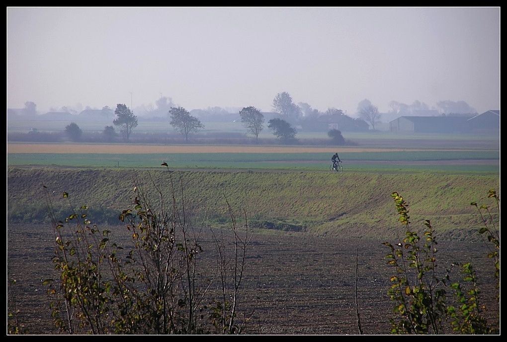 Einsamer Radfahrer