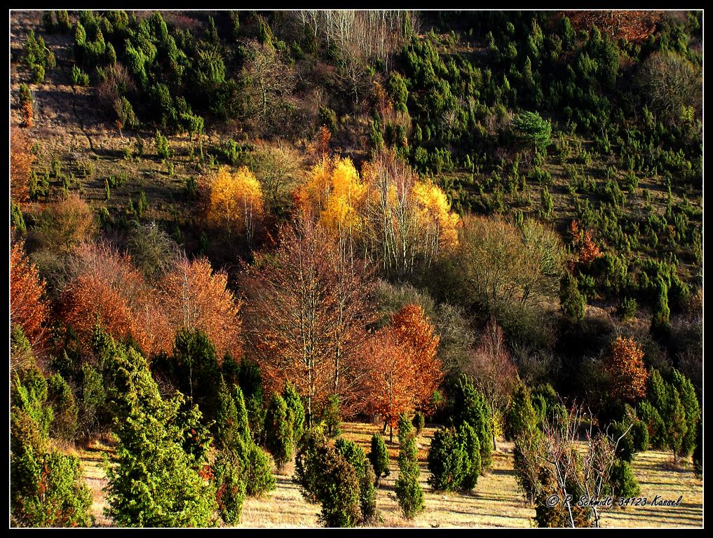 Herbstfarben