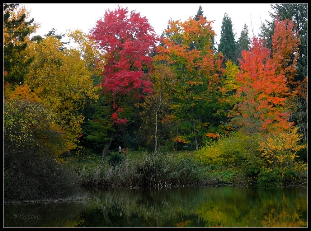 Herbstfarben I...