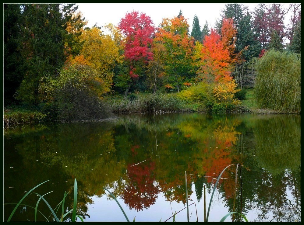 Herbstfarben II...