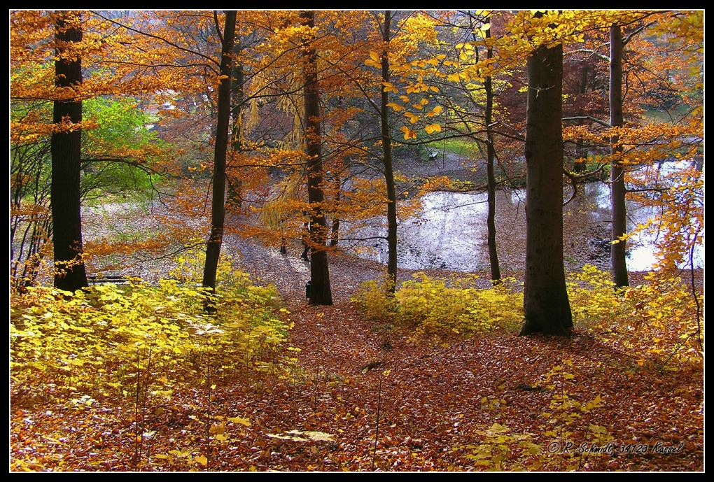 Herbstlaub