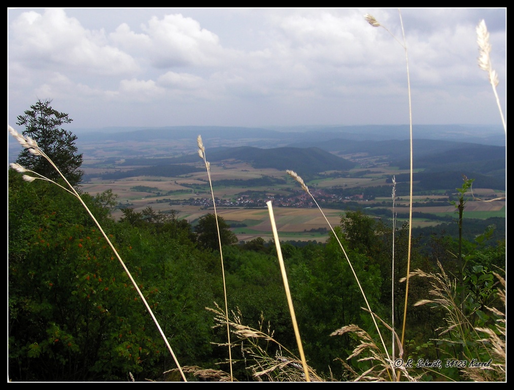 Weitblick