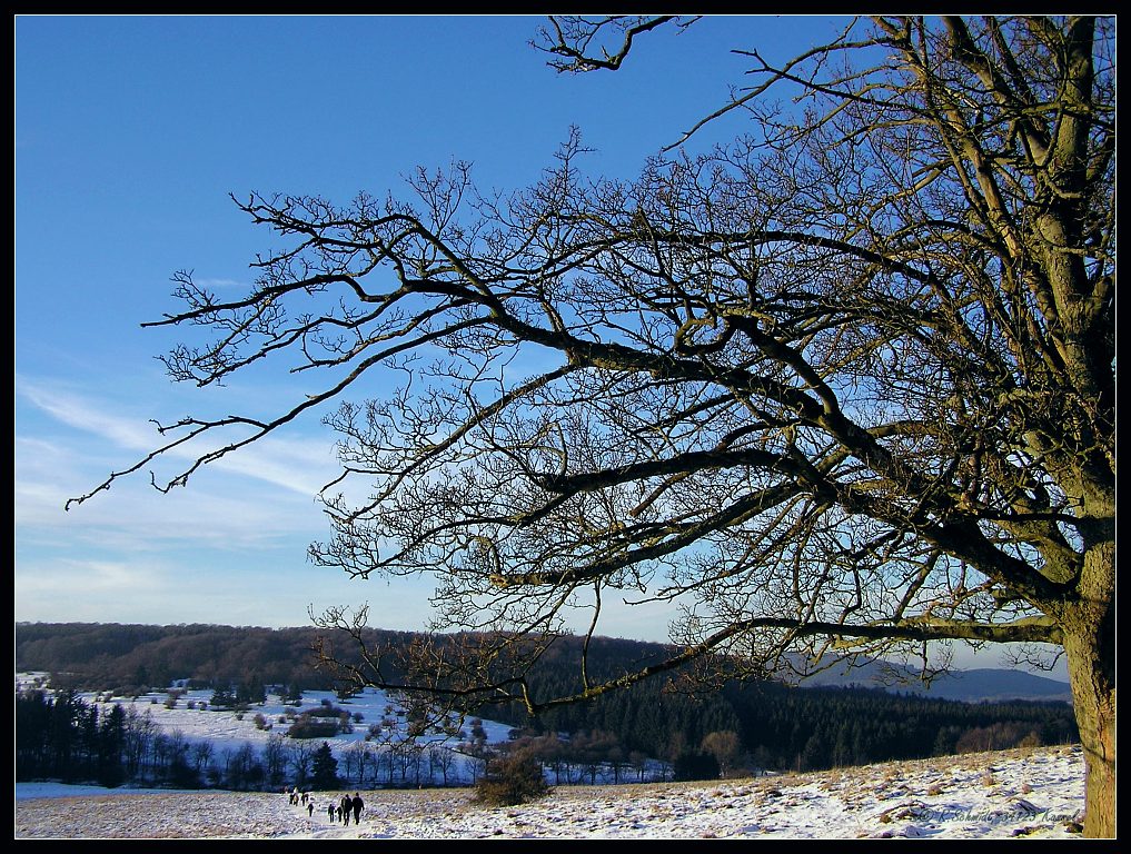 Winterlandschaft