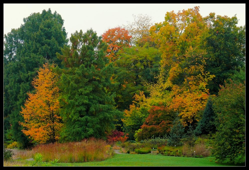 Herbst im Botanischen Garten Berlin