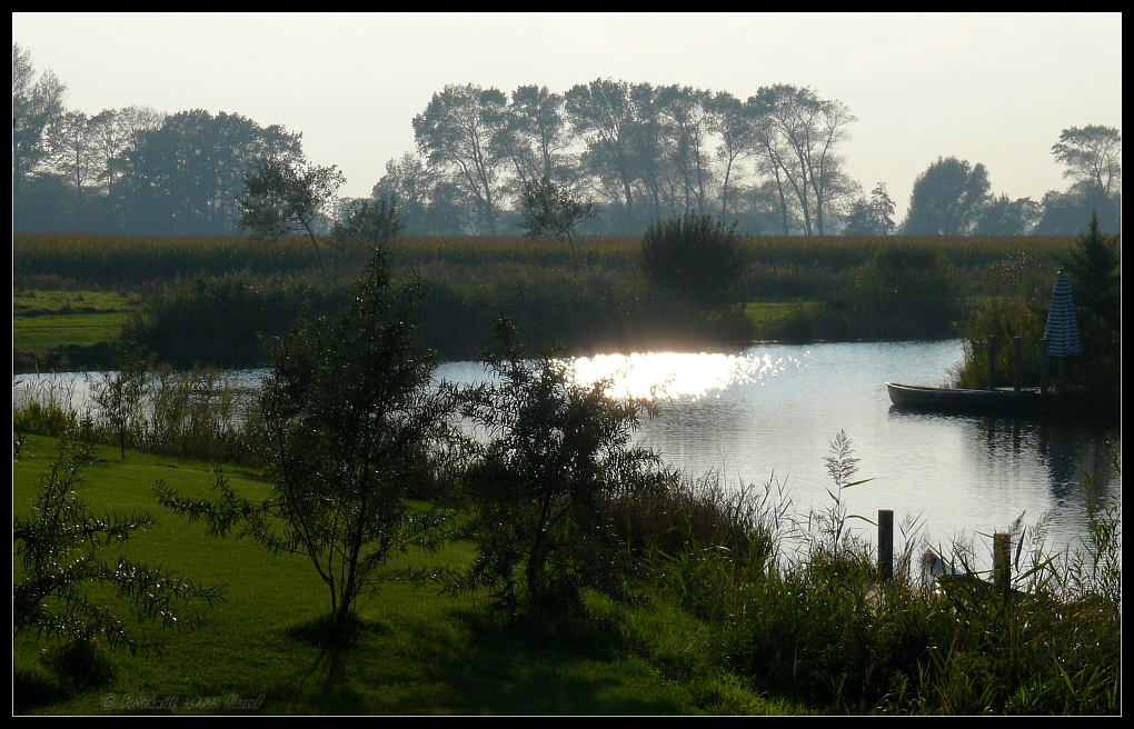 Licht