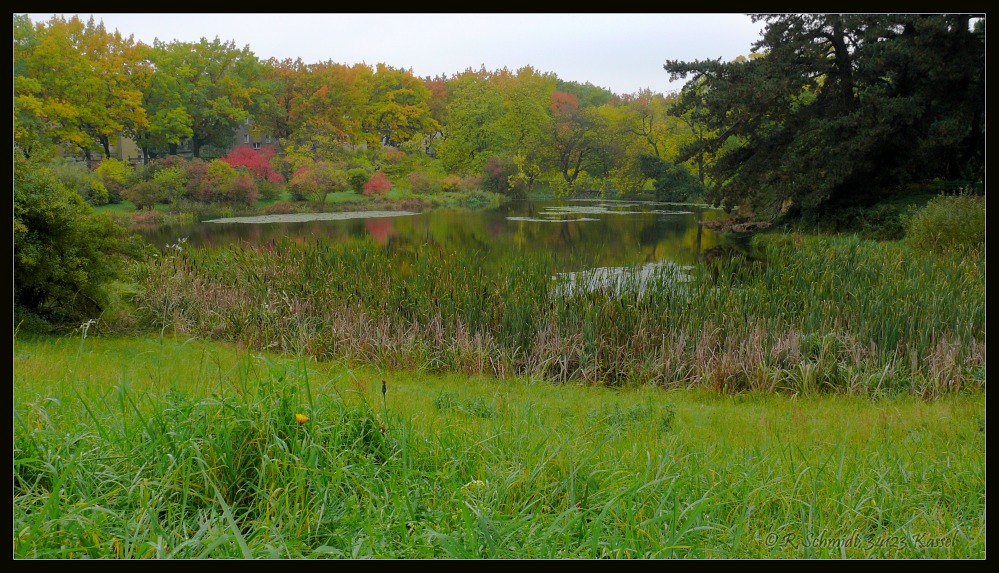 Weiher im Botanischen Garten Berlin