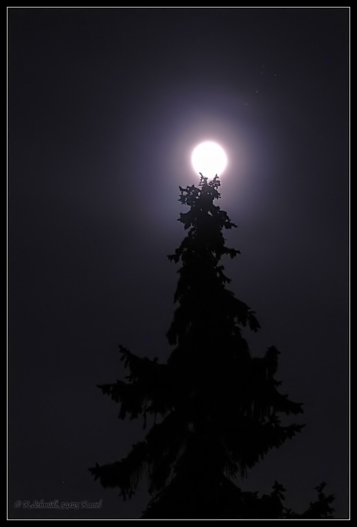 Christbaumschmuck I