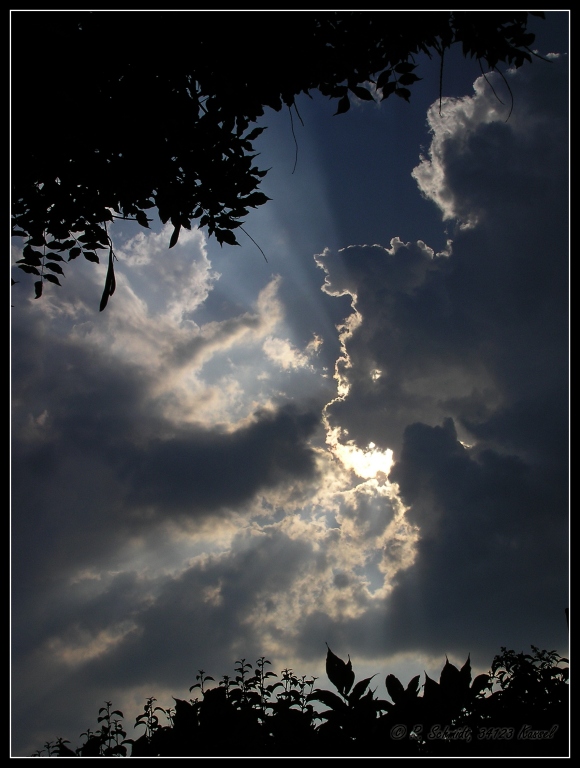 Lichtblicke I