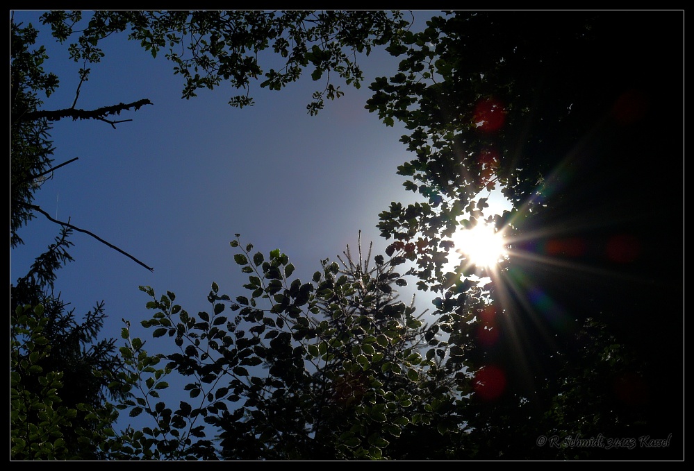 Heaven - in der Lochbachklamm